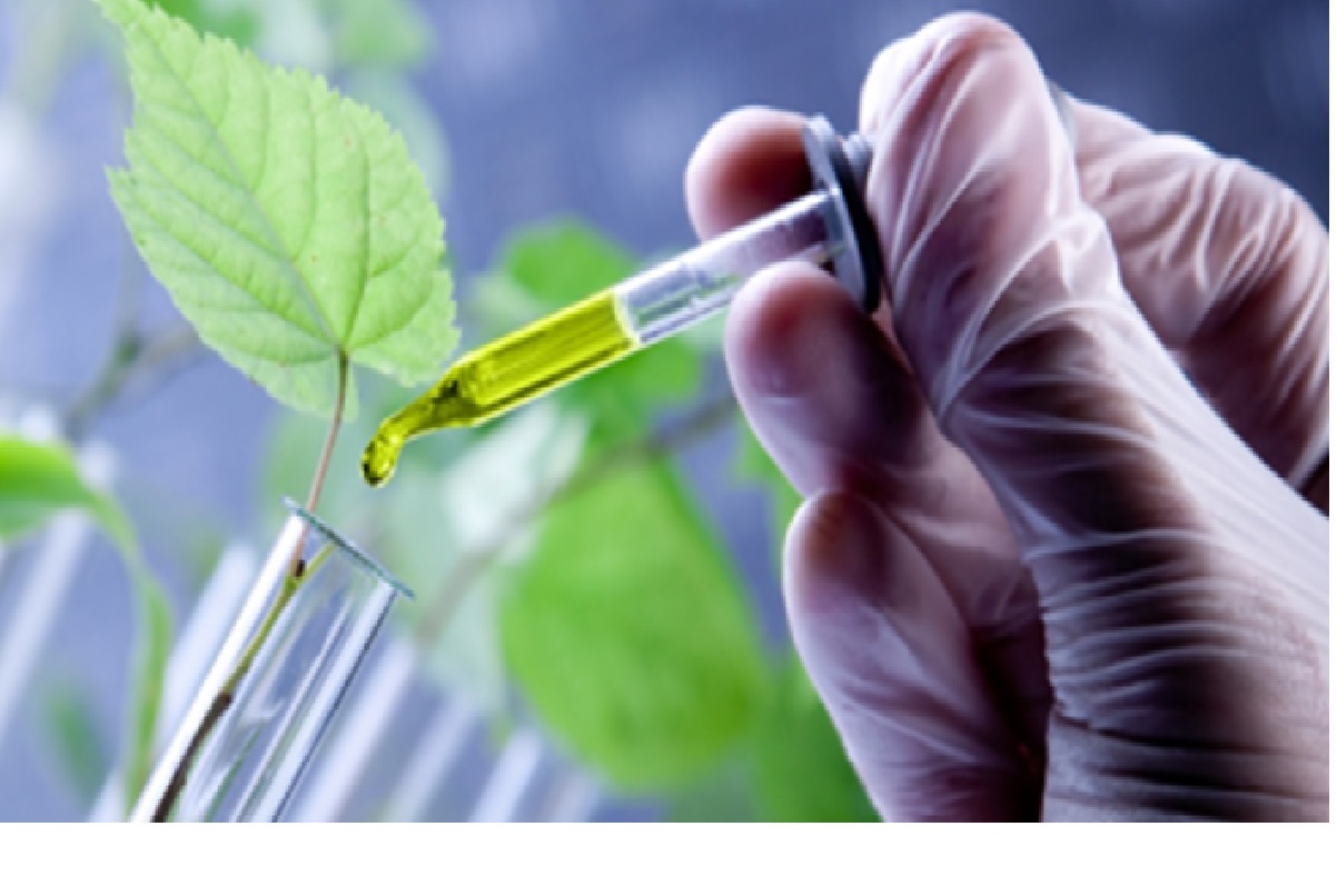 A biodiversidade como fonte de inovação em ingredientes