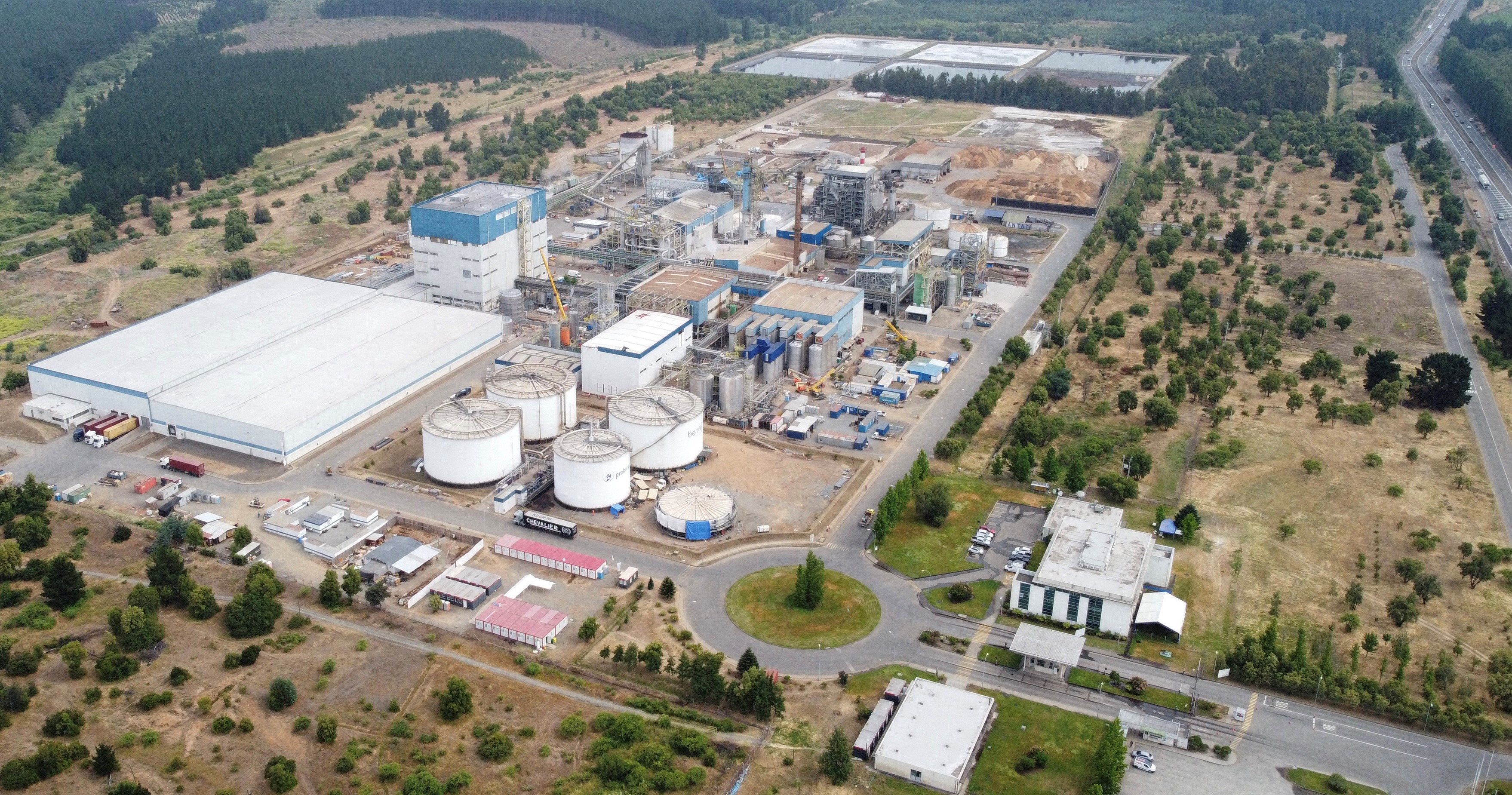 Beneo inicia produção de fibras de raiz de chicória com maior vida útil