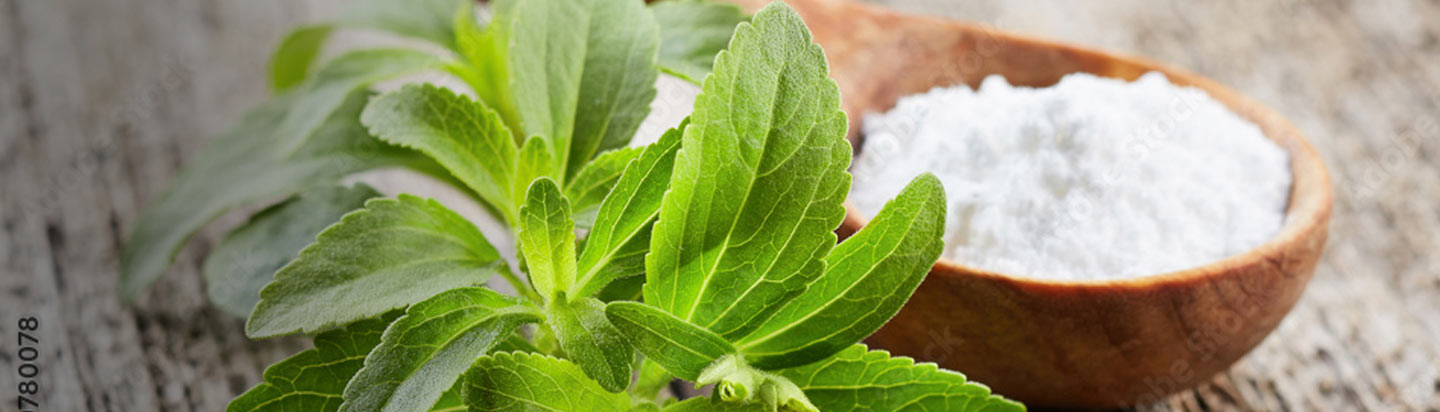 Ingredion expande produção de estévia na Malásia