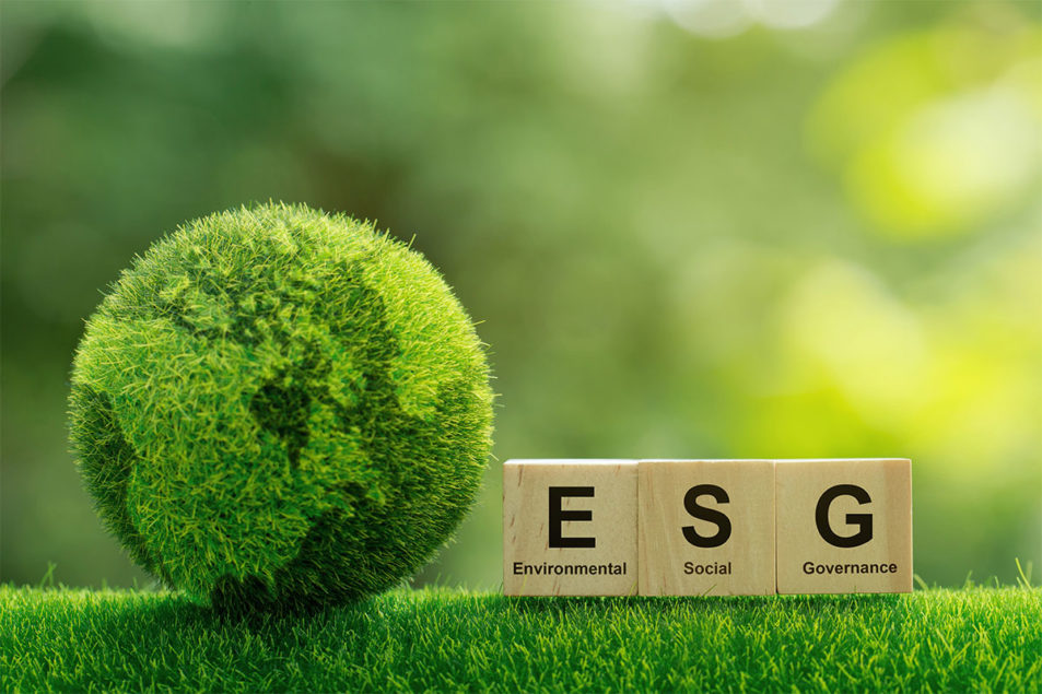 Ardent Mills anuncia nova estratégia ESG