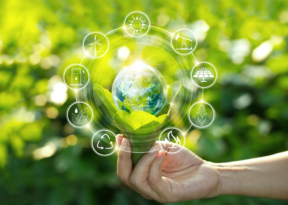 Sustentabilidade: os dois lados da moeda
