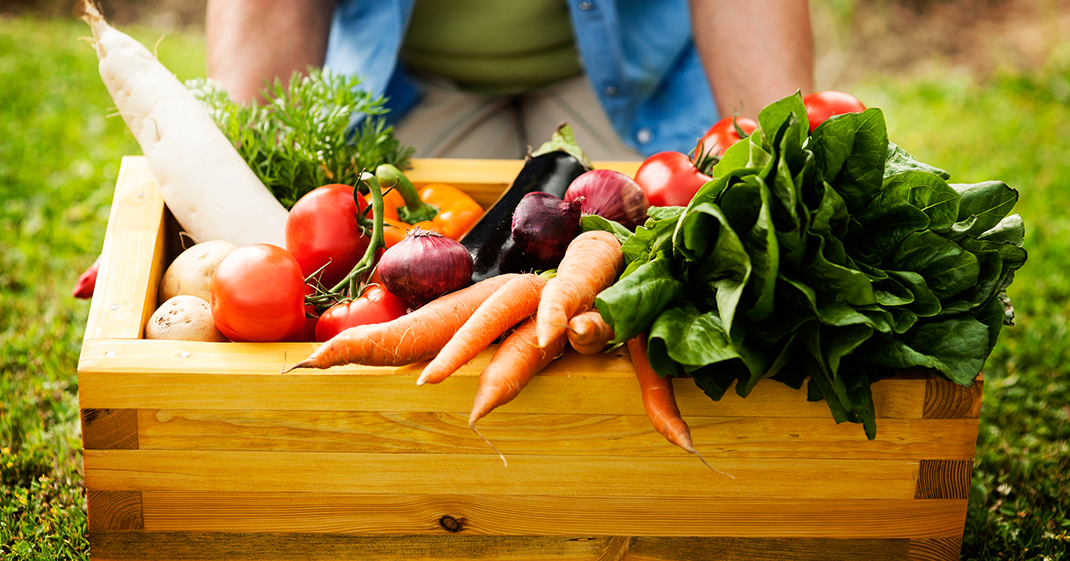 Por que consumir alimentos orgânicos?