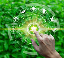 Indústria alimentícia adota práticas inovadoras para um futuro sustentável