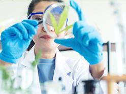 Givaudan e Nuritas anunciam parceria estratégica em peptídeos baseados em IA