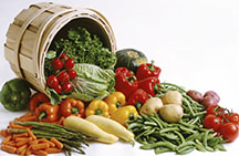 Ingredientes sustentáveis em uma indústria alimentícia responsável