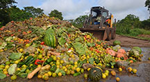 Desperdício de alimentos gera perda de 1 bilhão na economia mundial