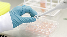 Novonesis e UC San Diego criam nova incubadora de pesquisa HMO