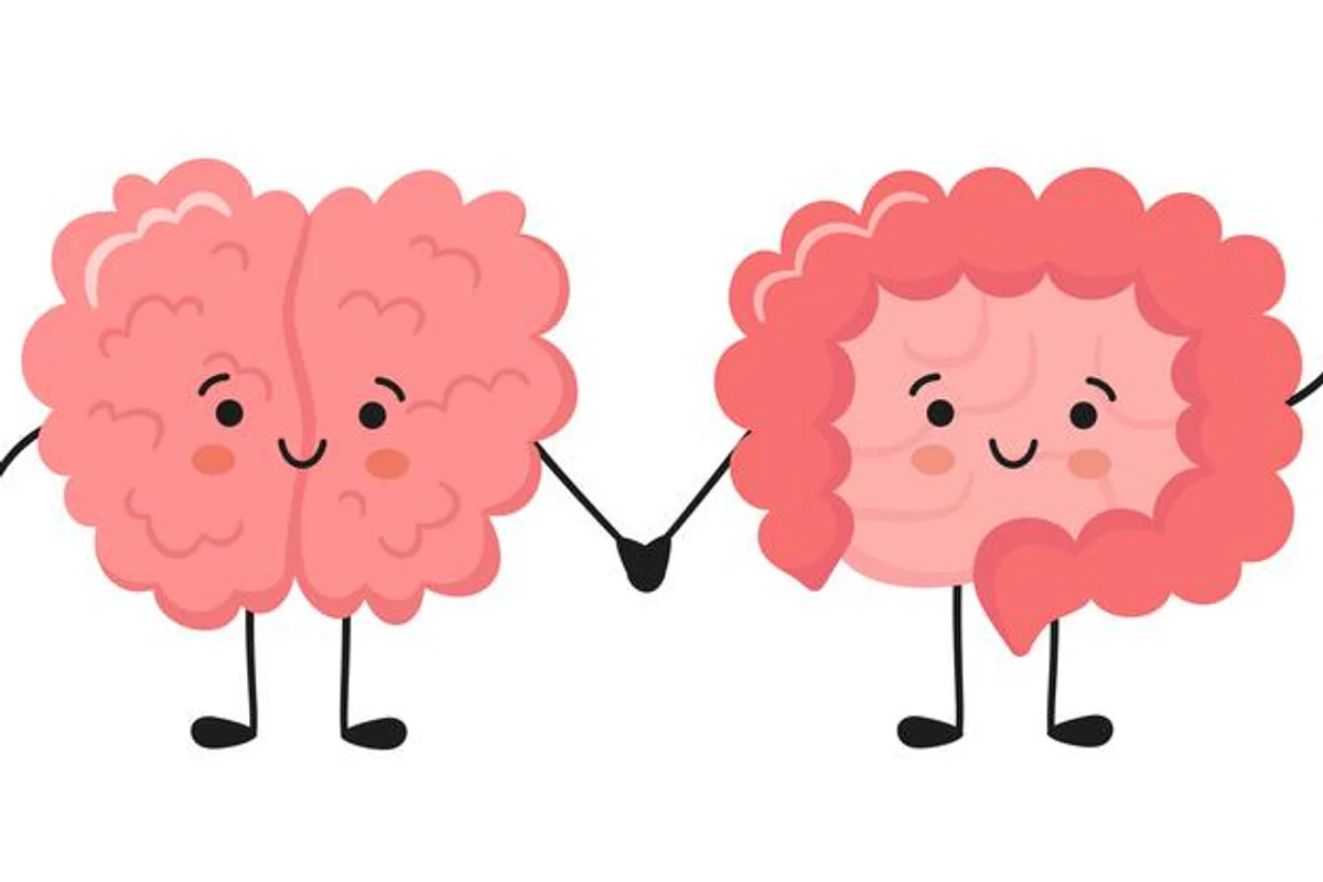 Qual a relação entre microbioma, cognição e suporte ao humor?