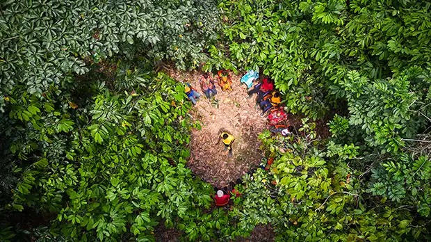 Ofi foca em impulsionar o impacto da sustentabilidade nos setores de alimentos e bebidas