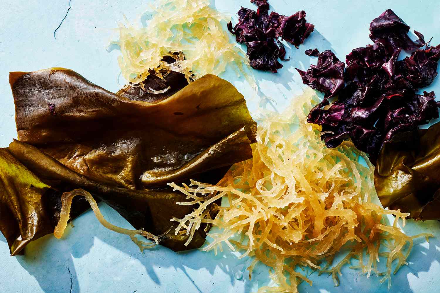 Algas marinhas são o superalimento do futuro