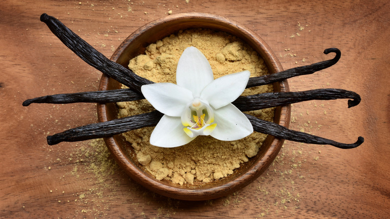 Cientistas desenvolvem enzima para produzir vanilina natural de plantas