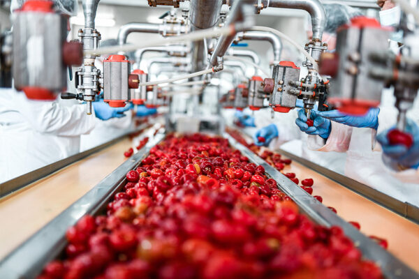 Como reduzir desperdício e maximizar nutrientes em produtos alimentícios