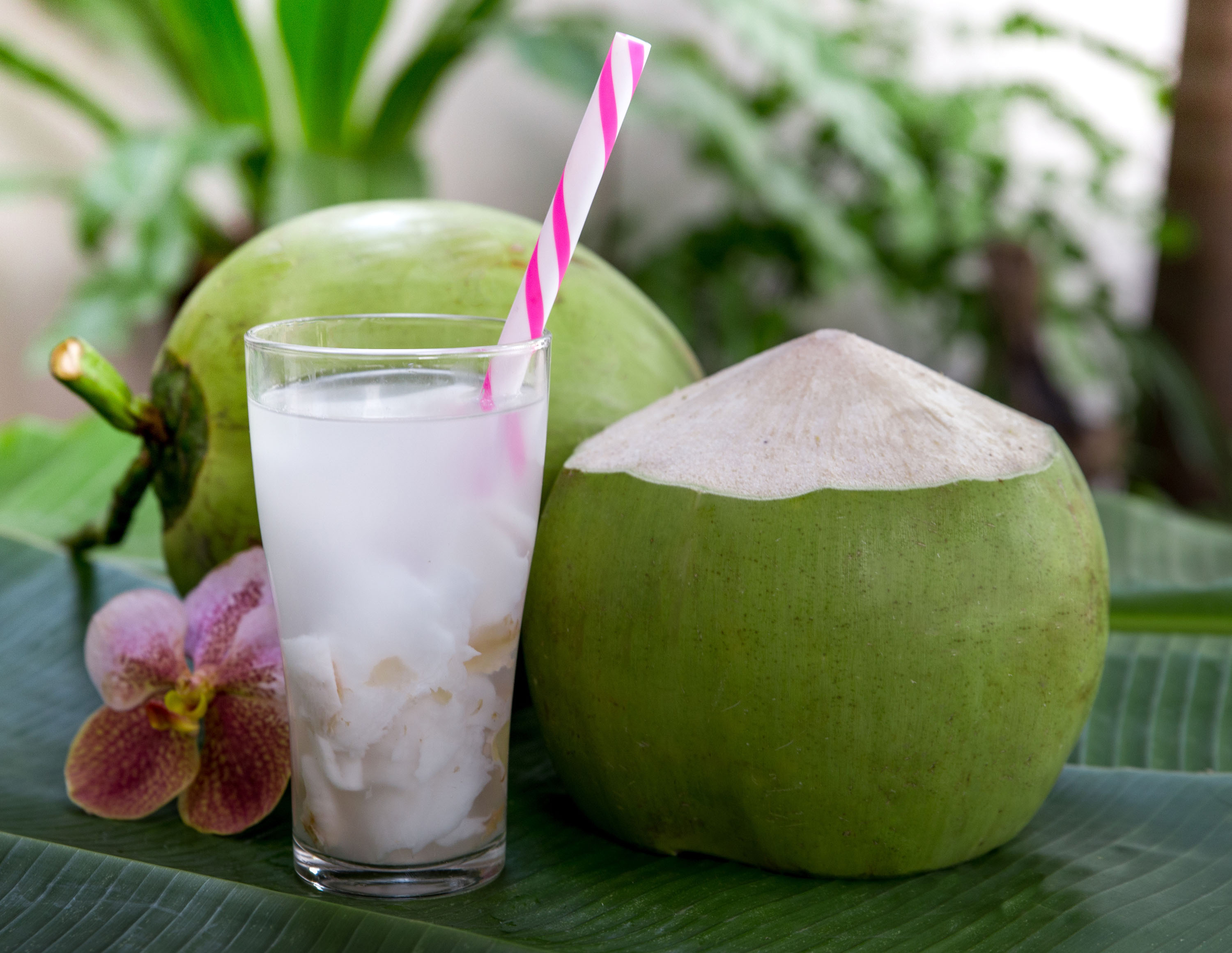 Águas vegetais promovem crescimento e inovação no mercado de bebidas