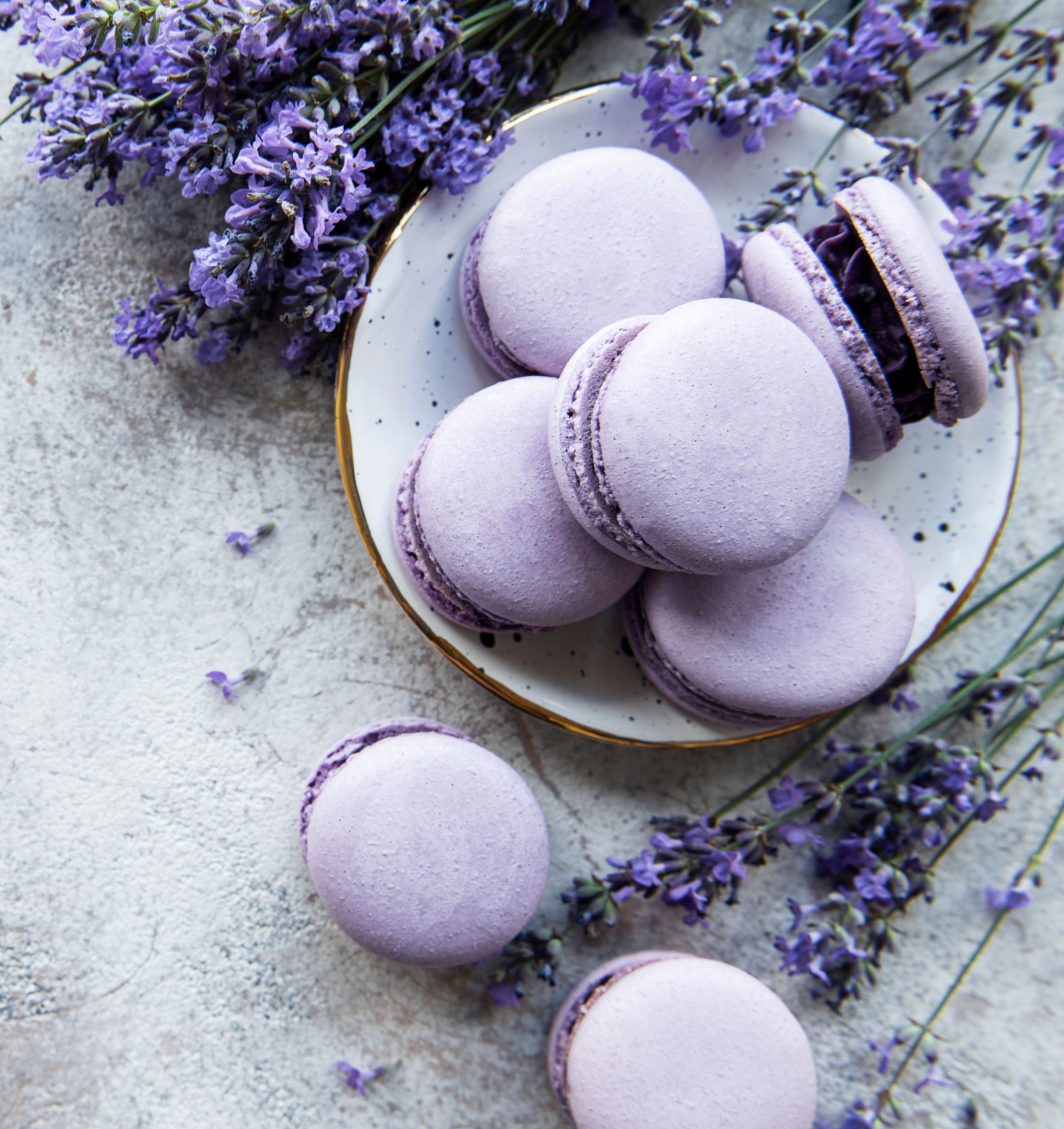 Cuidados ao utilizar a lavanda como sabor botânico