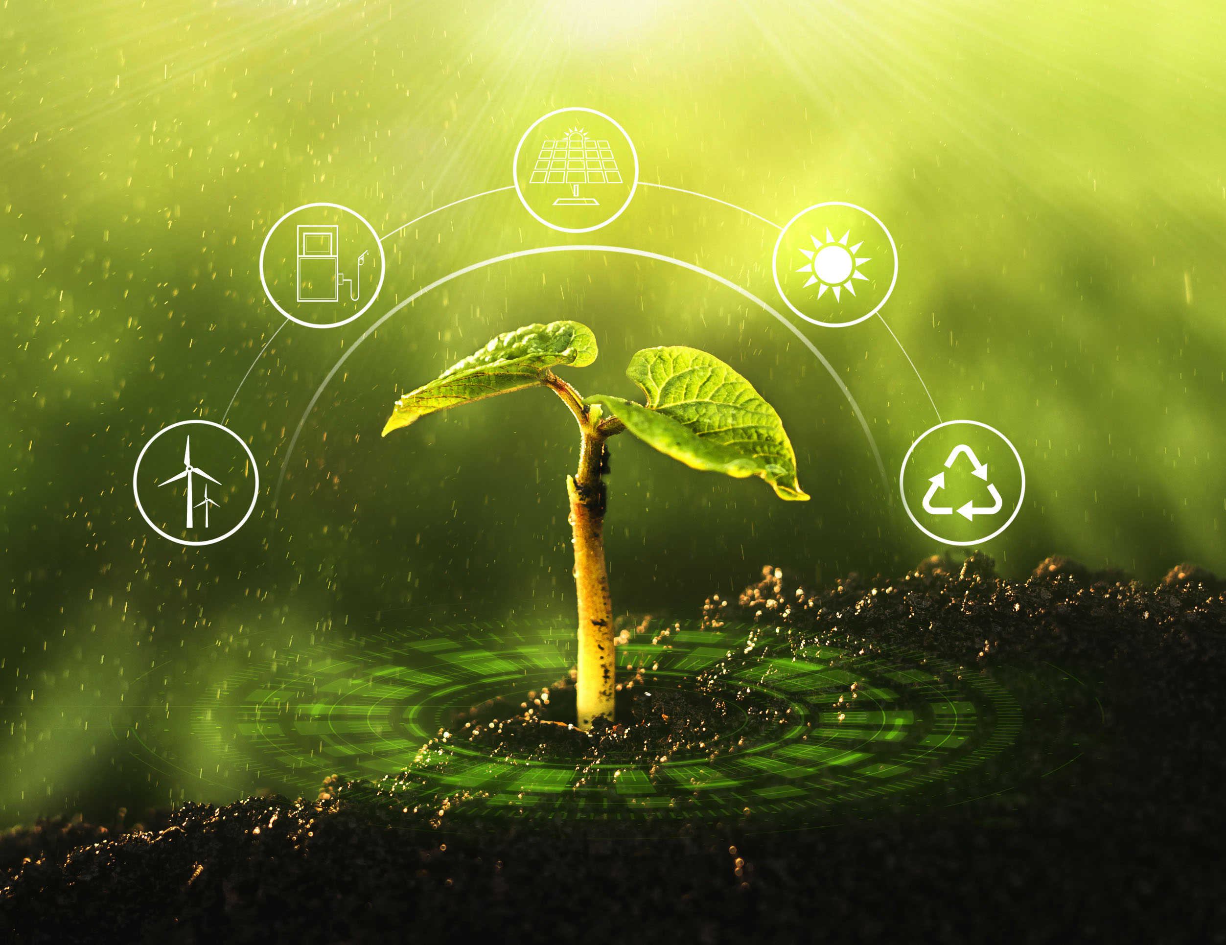 Grupo Bimbo apresenta relatório anual de 2023 com enfoque em sustentabilidade