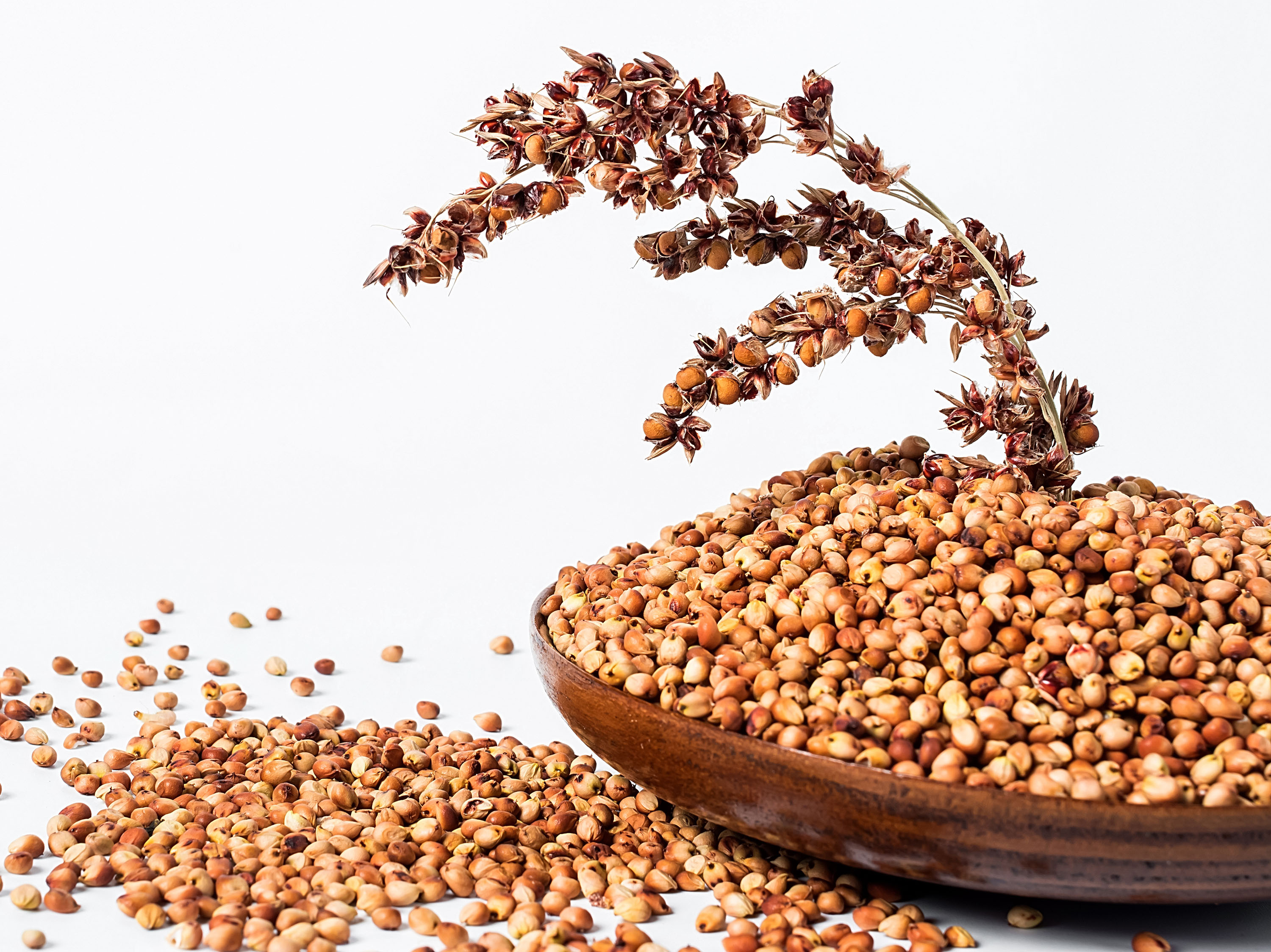 Ardent Mills destaca o potencial do sorgo como alternativa ao glúten