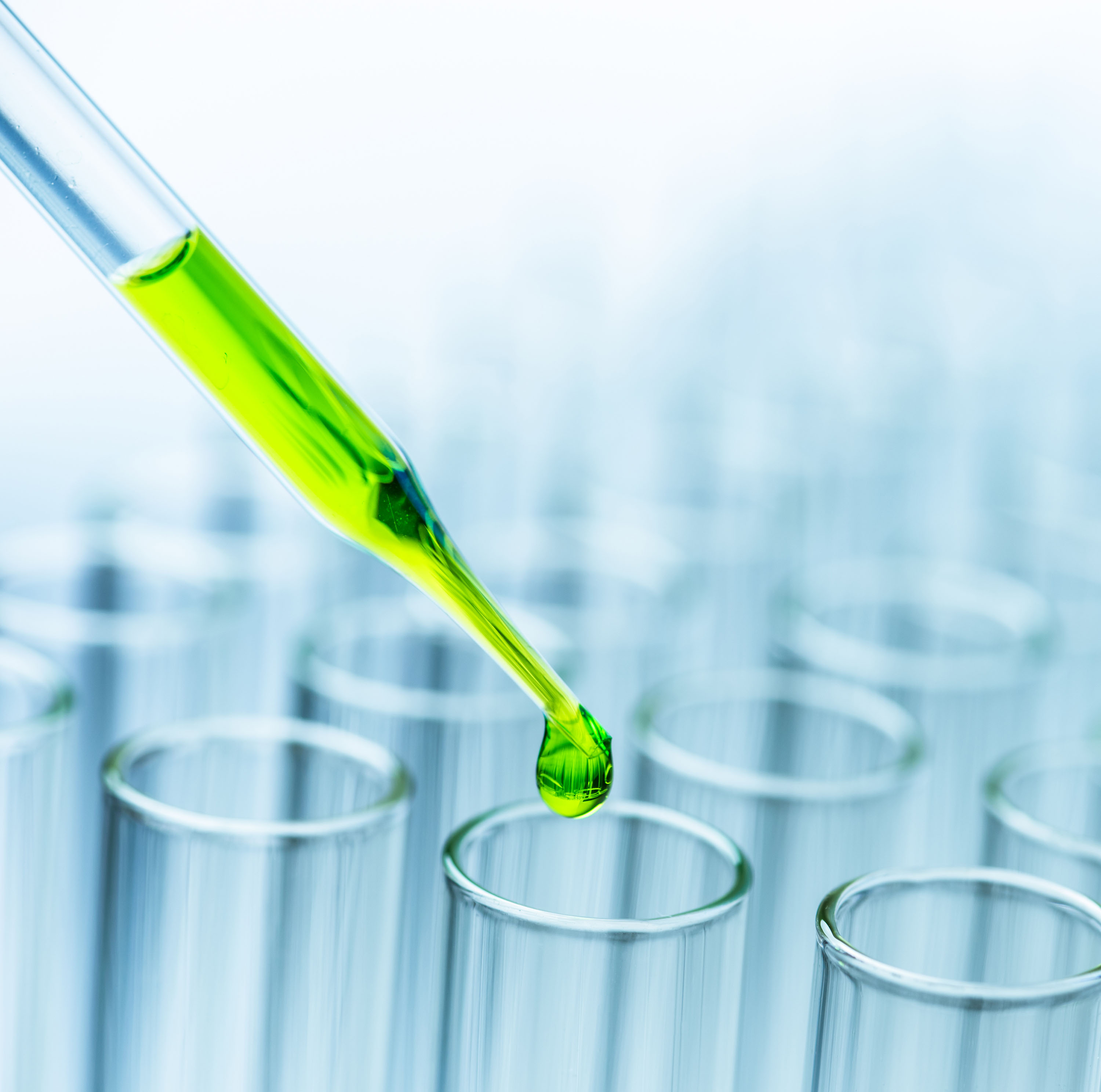 Biotecnologia enzimática otimiza digestibilidade e valor nutricional dos alimentos