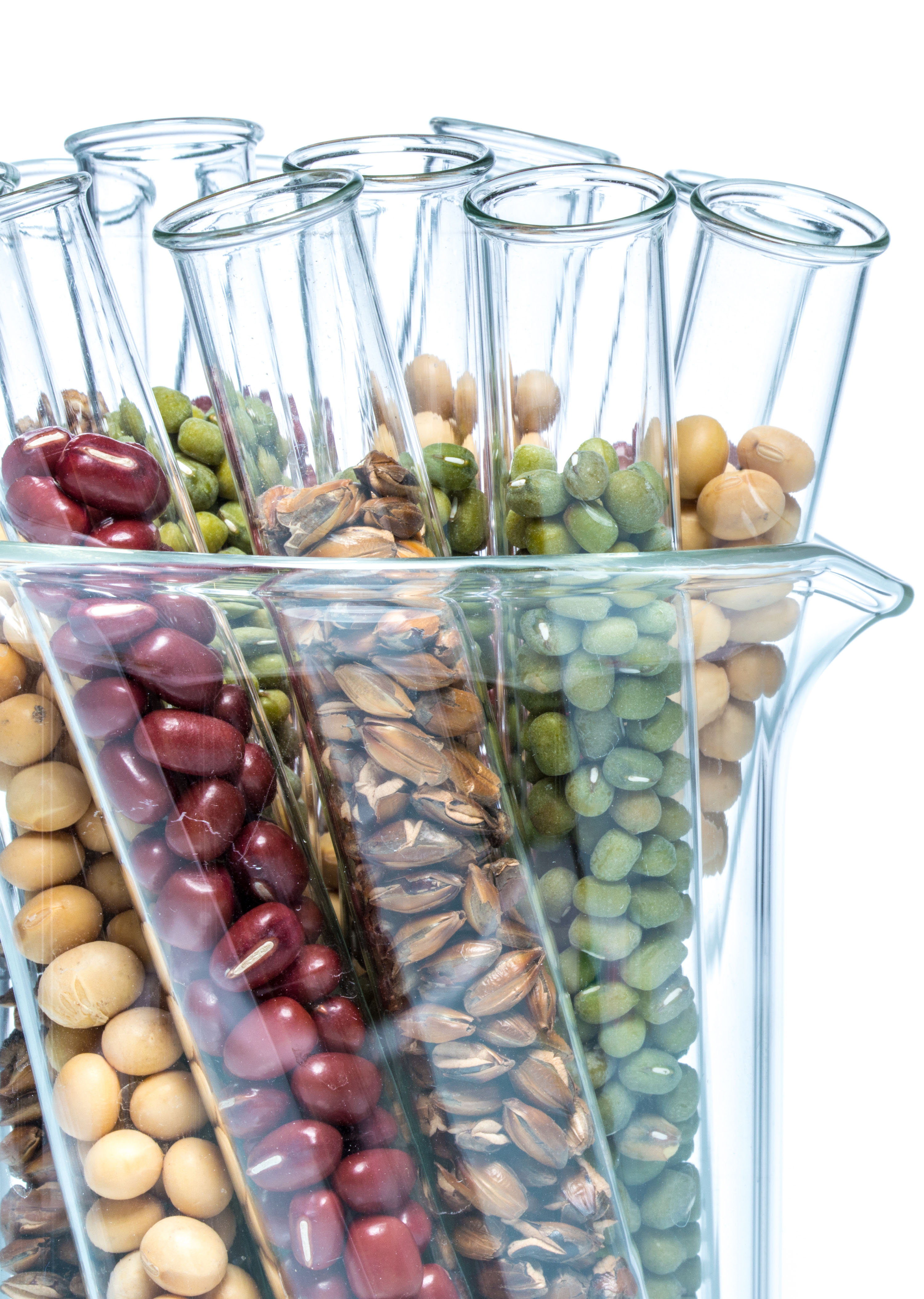 Qual a próxima onda de inovação em tecnologia alimentar?