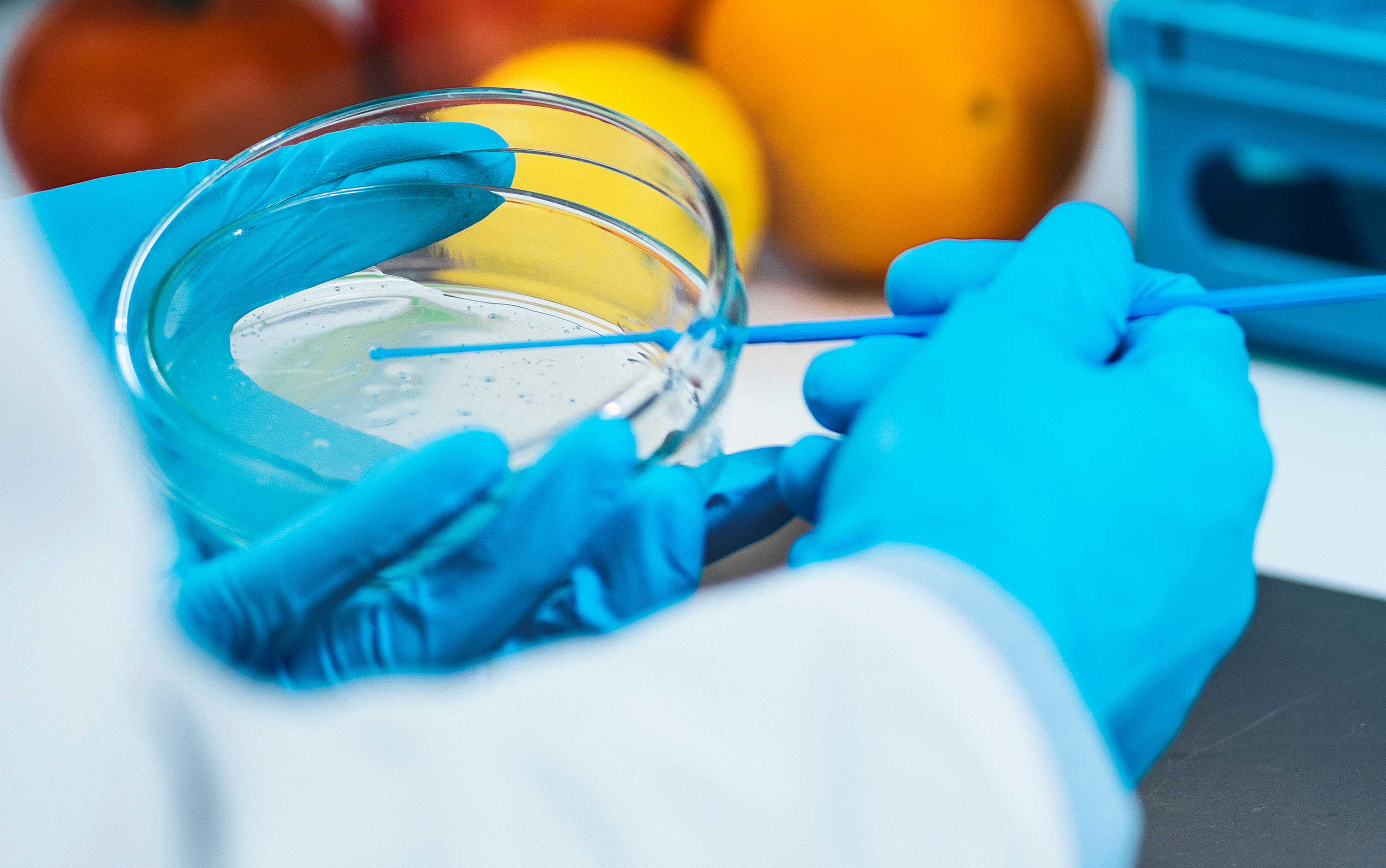 Kerry inaugura laboratório de segurança alimentar com certificação BSL-2
