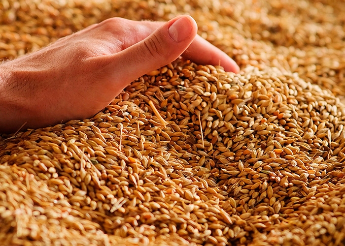 Joint-venture entre ADM e Farmers Business Network impulsiona agricultura sustentável