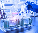 Lallemand investe em enzimas na Turquia
