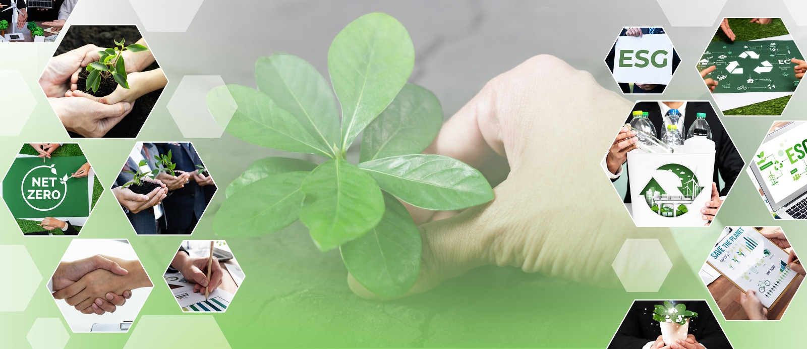 Grano Alimentos anuncia seu primeiro Relatório de Sustentabilidade