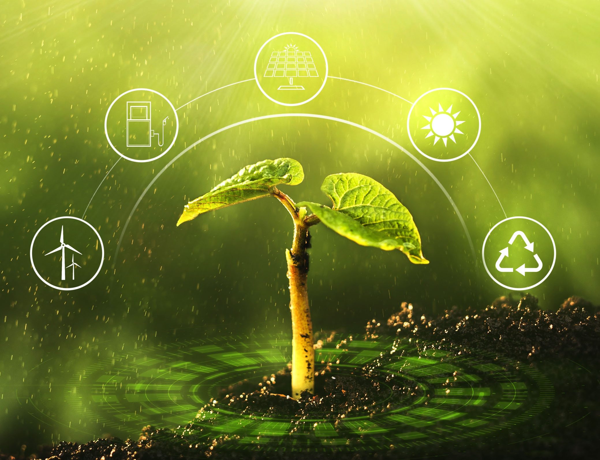 Symrise eleva sua abordagem de fornecimento sustentável