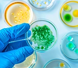 Avanços e aplicações das culturas microbianas