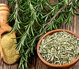 Syensqo lança linha de antioxidantes naturais de alecrim