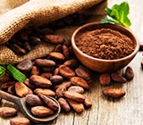 Barry Callebaut lança roteiro para se tornar Net Zero até 2050