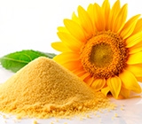 Emulsificantes de rótulo limpo oferecem ingredientes naturais e funcionalidade