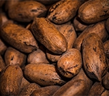 Cargill expande produção de cacau na Indonésia