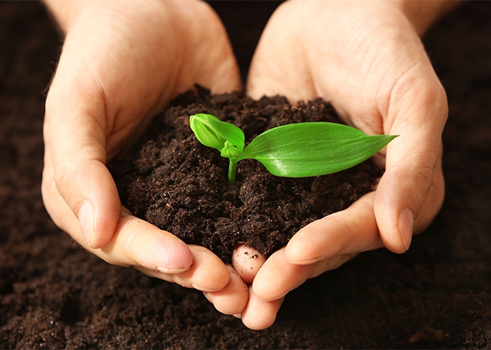 Bioinsumos podem revolucionar a agricultura brasileira
