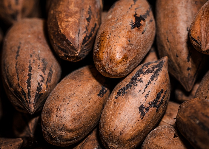 Cargill destaca progresso em sustentabilidade no seu Relatório de 2024
