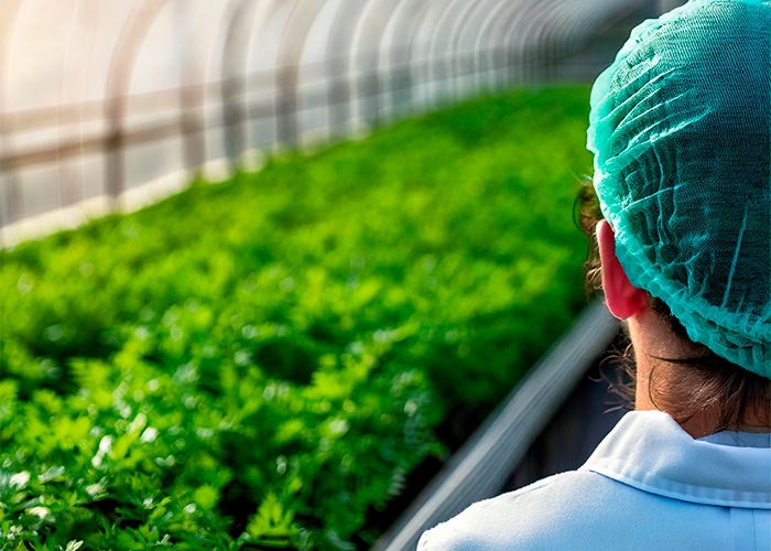 Givaudan registra crescimento anual expressivo e avança em desempenho ambiental