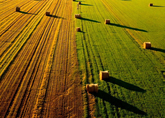 Cargill é reconhecida por inovação agrícola em premiação global