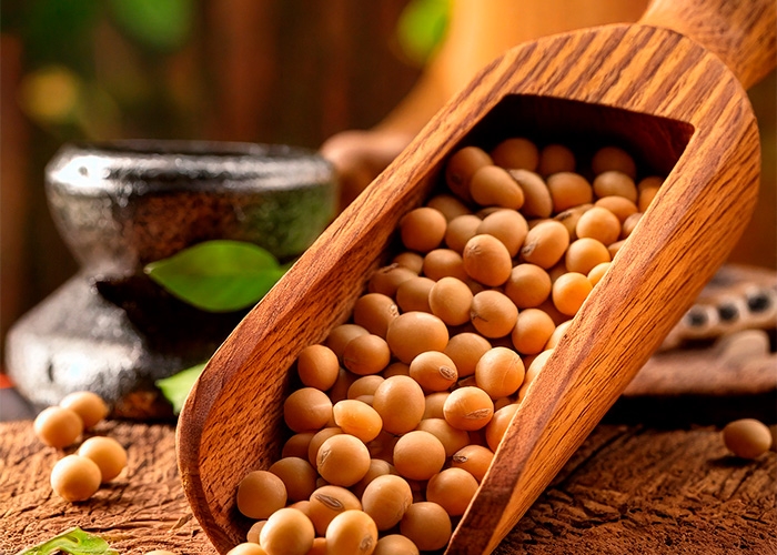 Rio Pardo Proteína Vegetal estabelece produto mais digestível do Brasil também para frangos de corte