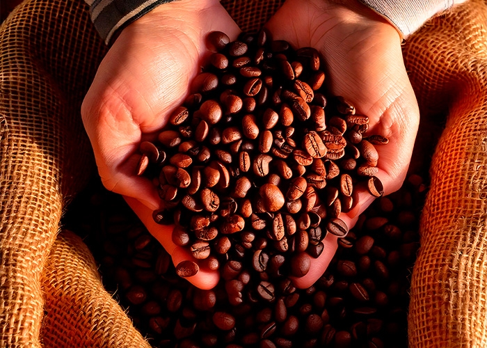 Melitta anuncia aquisição da Baristo e Rent a Coffee