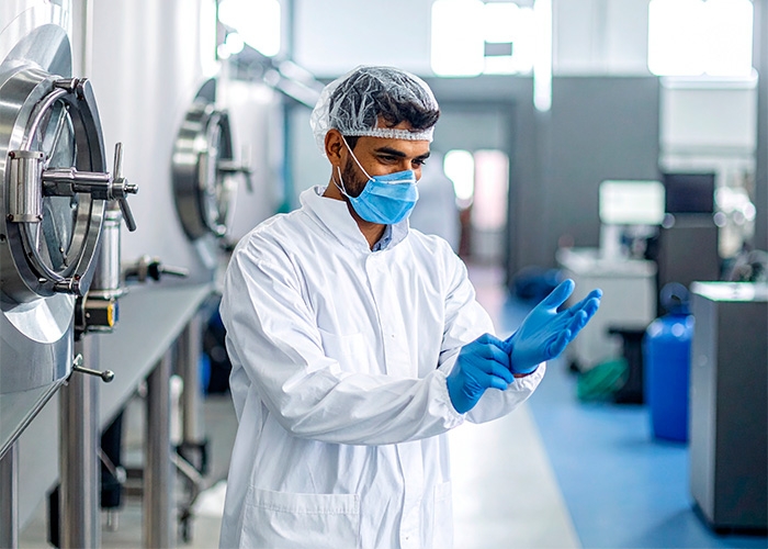A arte da fermentação de precisão: da biotecnologia aos fermentos funcionais