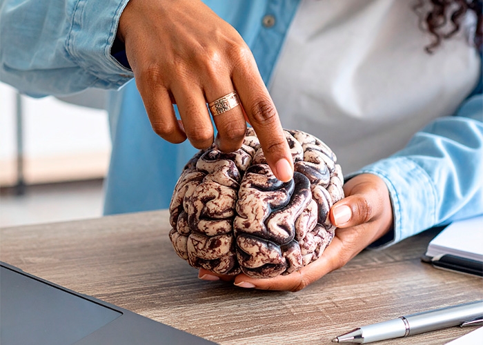 Estudo clínico destaca potencial do Somin-On™ para melhorar a cognição em adultos com comprometimento cognitivo leve