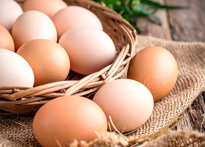 Gripe aviária no Brasil: os impactos para o setor de ingredientes e aditivos alimentares