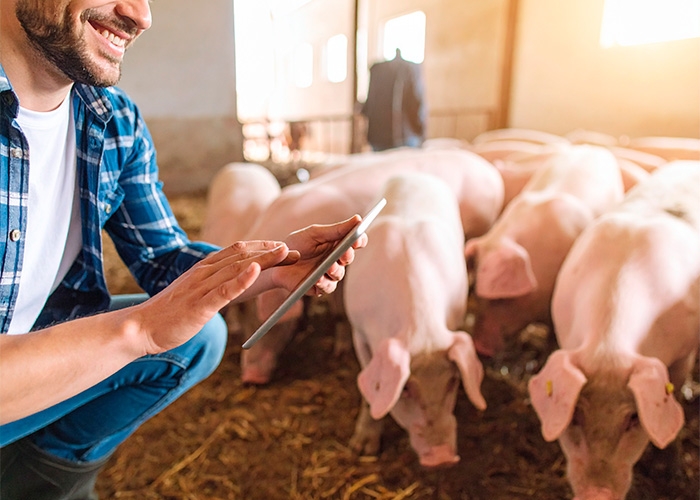 Cargill anuncia a chegada de seu negócio de nutrição animal ao Paraguai