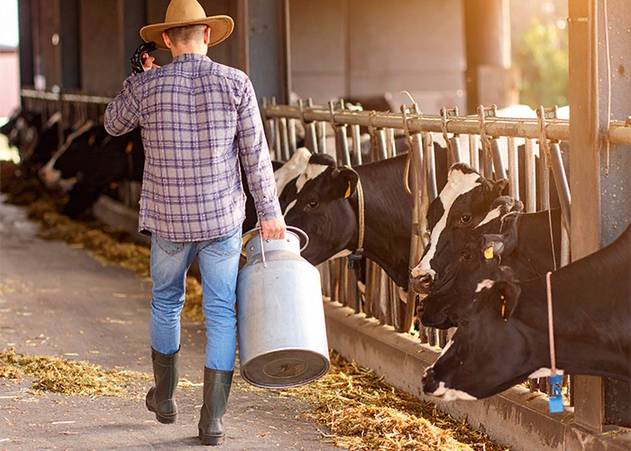 Danone e Banco do Brasil anunciam parceria de R$ 100 milhões em crédito para investimento em fazendas leiteiras