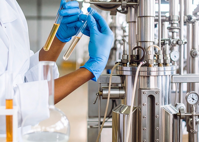 A arte da fermentação de precisão: da biotecnologia aos fermentos funcionais