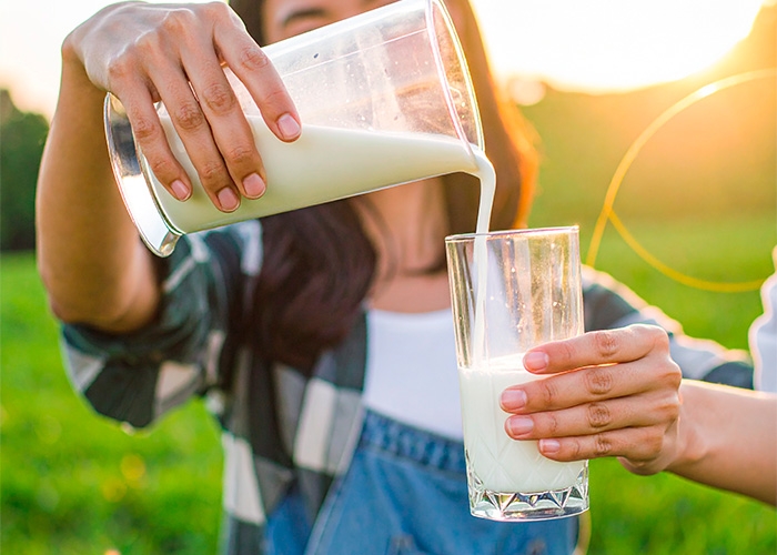 Whey do Brasil inaugura centro de excelência em SORO DE LEITE e potencializa mercado de PROTEÍNAS FUNCIONAIS