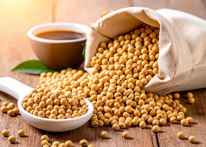 Cargill assume CONTROLE TOTAL da planta de esmagamento de soja em Barreiras (BA)