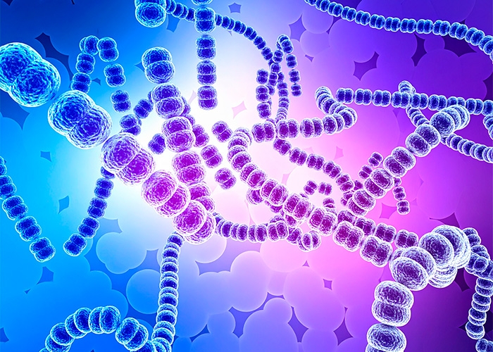 Novonesis e Novo Nordisk firmam parceria para pesquisar o MICROBIOMA e desenvolver SOLUÇÕES SINBIÓTICAS para a saúde metabólica