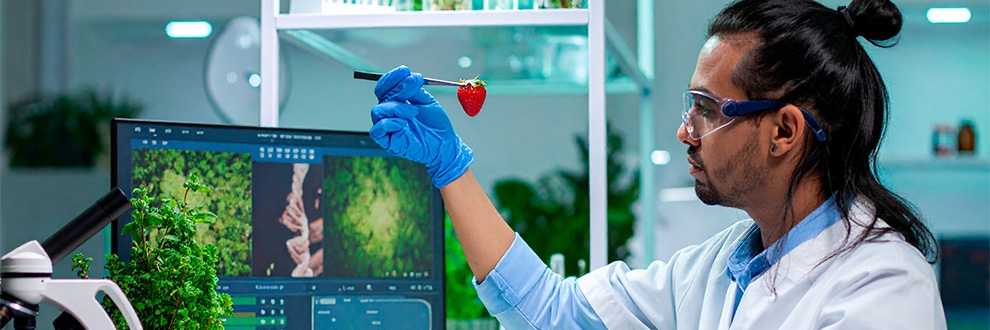 Inteligência Artificial na indústria de alimentos: dados, tendências e desafios de um novo ciclo de inovação