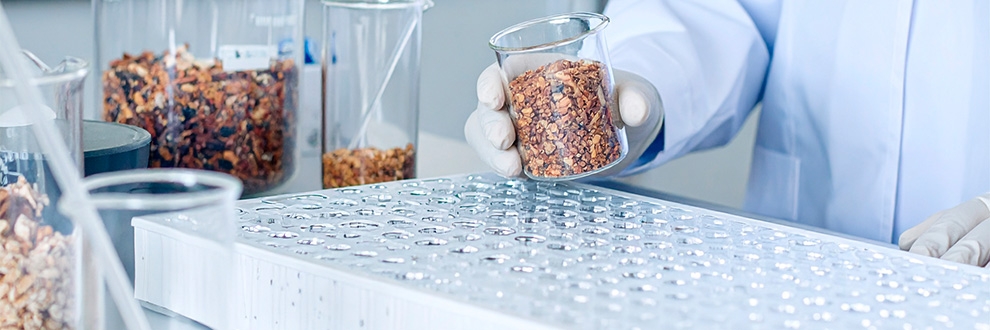 Ingredientes derivados de microrganismos: fermentação de precisão para PROTEÍNAS E VITAMINAS