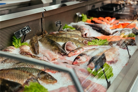 Consumo de peixes cresce 8,2%, impulsionado pela alta no preço da carne bovina